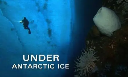 PBS Nature - Under Antarctic Ice (2003)