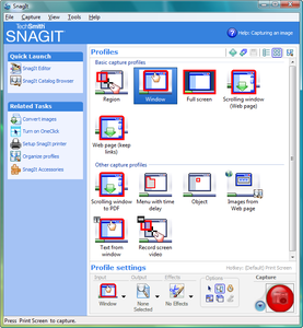 SnagIt 8.2.3 Build 14 + Keygen + All Stamps + Firefox Extension 