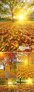 Stock Photo - Sunny Autumn Day