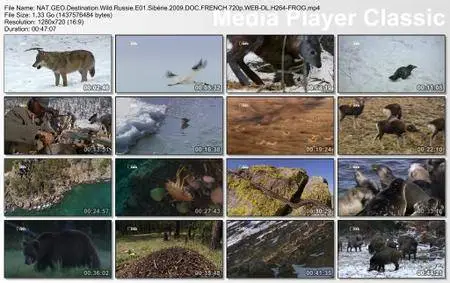 National Geographic - Destination Wild: Russie (2009) [Integral]