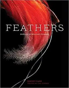 Feathers Displays of Brilliant Plumage Feathers Displays of Brilliant Plumage