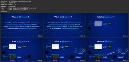 Learn Mulesoft: 12 Steps To Master The Development Of Apis!