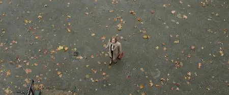 Finding Your Feet (2017)