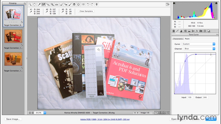 Lynda - Color Correction in Adobe Camera Raw [repost]