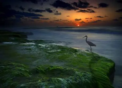 World In Photo 267