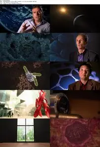 Discovery Channel - What You Can't See (2010)