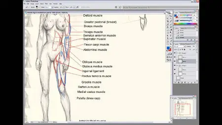 DRAWING ESSENTIAL: How to draw and sketch female figures with pencil