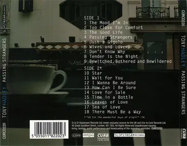 Tony Hadley - Passing Strangers (2006)