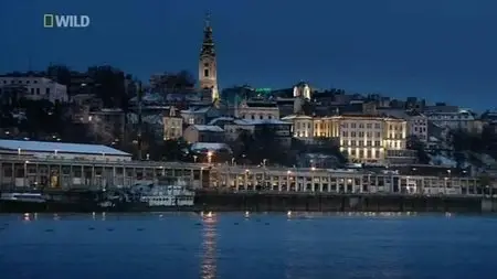National Geographic - Wild Danube (2012)