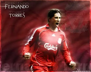 Fernando Torres - All Goals for Liverpool 07-08