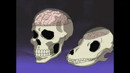 Naruto S05E27 Genjutsu Or Reality EAC3 2 0