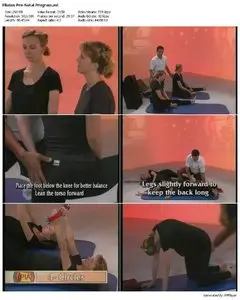 Pre-Natal Program (2004) 