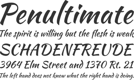 Font Kaushan Script qBee