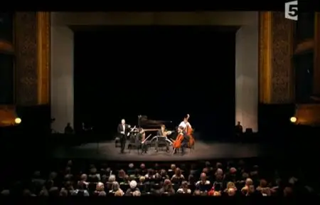 (Fr5) La Leçon de Musique De Jean-François Zygel : Franz Schubert, le voyage d'hiver (2008)