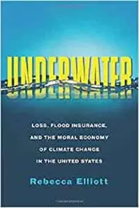 Underwater: Loss, Flood Insurance, and the Moral Economy of Climate Change in the United States