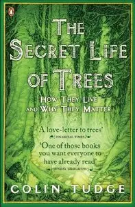Secret Life of Trees (Repost)
