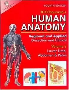 Human Anatomy: Regional & Applied, Vol. 2: Lower Limb, Abdomen & Pelvis, 4th edition