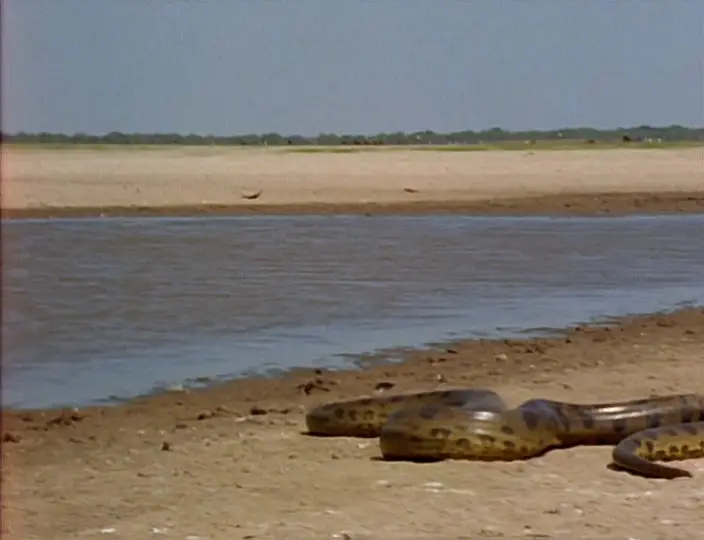 Land of the Anaconda (1998)