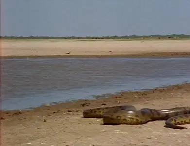 Land of the Anaconda (1998)