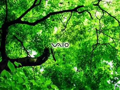 Nature in all its glory