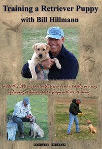 Training a Retriever Puppy with Bill Hillman