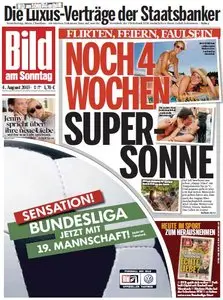Bild am Sonntag, 04. August 2013