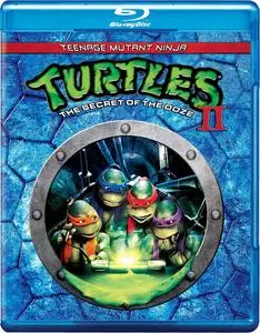 Teenage Mutant Ninja Turtles II: The Secret of the Ooze (1991)