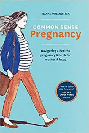 Common Sense Pregnancy: Navigating a Healthy Pregnancy and Birth for Mother and Baby