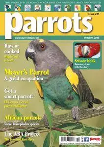 Parrots - October 2016