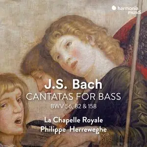 La Chapelle Royale, Philippe Herreweghe & Peter Kooy - J.S. Bach: Cantatas for Bass (Remastered) (1991/2023) [24/48]