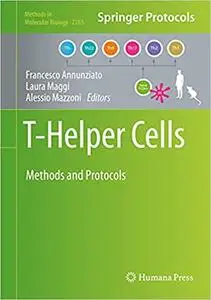 T-Helper Cells