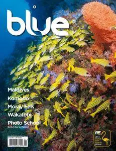 Blue Magazine - May 01, 2015