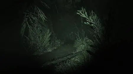 Outlast 2 (2017)