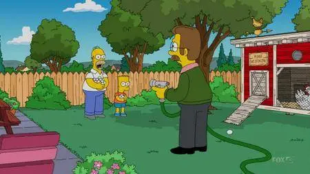 The Simpsons S27E16 (2016)