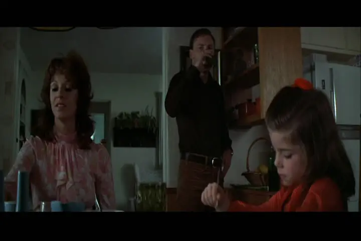 The New Centurions (1972)