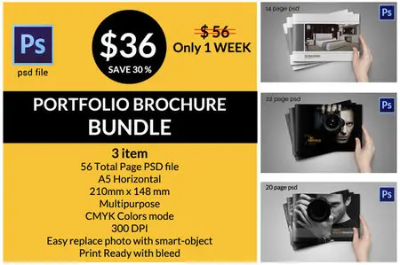 CreativeMarket - BUNDLE Catalogs/Brochure