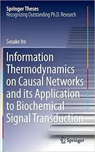 Information Thermodynamics on Causal Networks and its Application to Biochemical Signal Transduction [Repost]