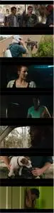 100 Bloody Acres (2012)