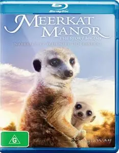 Meerkat Manor: The Story Begins (2008)