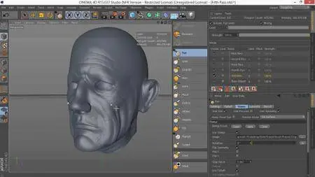 Sculpting and Painting a Head in Cinema 4D