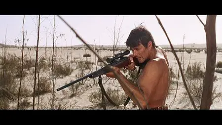 Sands of the Kalahari (1965)