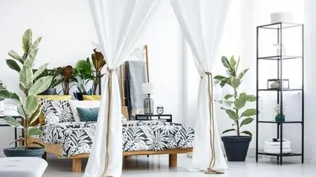 Decorating with Plants for Beginners.