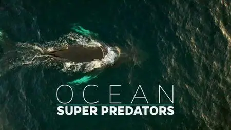 Smithsonian Ch. - Ocean Super Predators (2021)