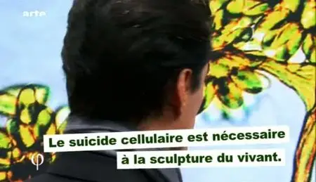 (Arte) Philosophie : Vie (2010)