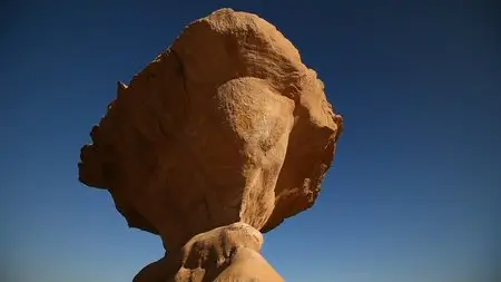 BBC - Wild Arabia (Repost)