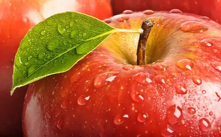 Macro Wallpapers (part-6)