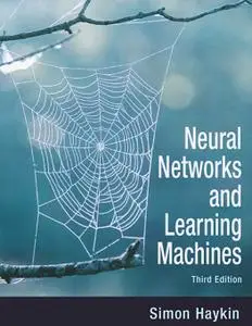 Neural Networks and Learning Machines  (3rd Edition)
