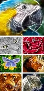  Just Amazing Animal Wallpapers