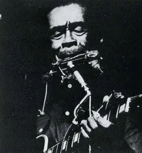 Jesse Fuller - Brother Lowdown (1992)