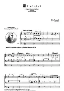 Alleluja! Organ transcription